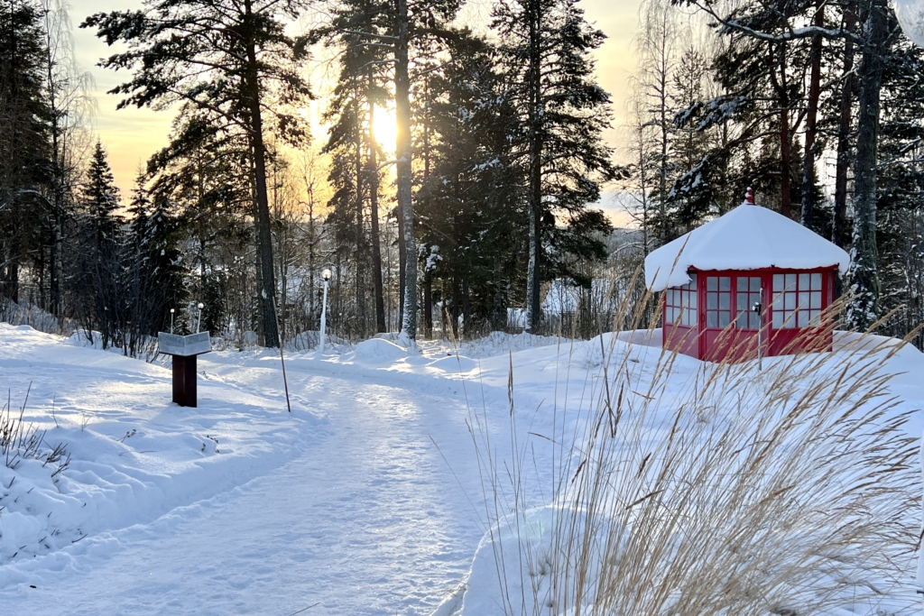 Hagen i vinterdrakt