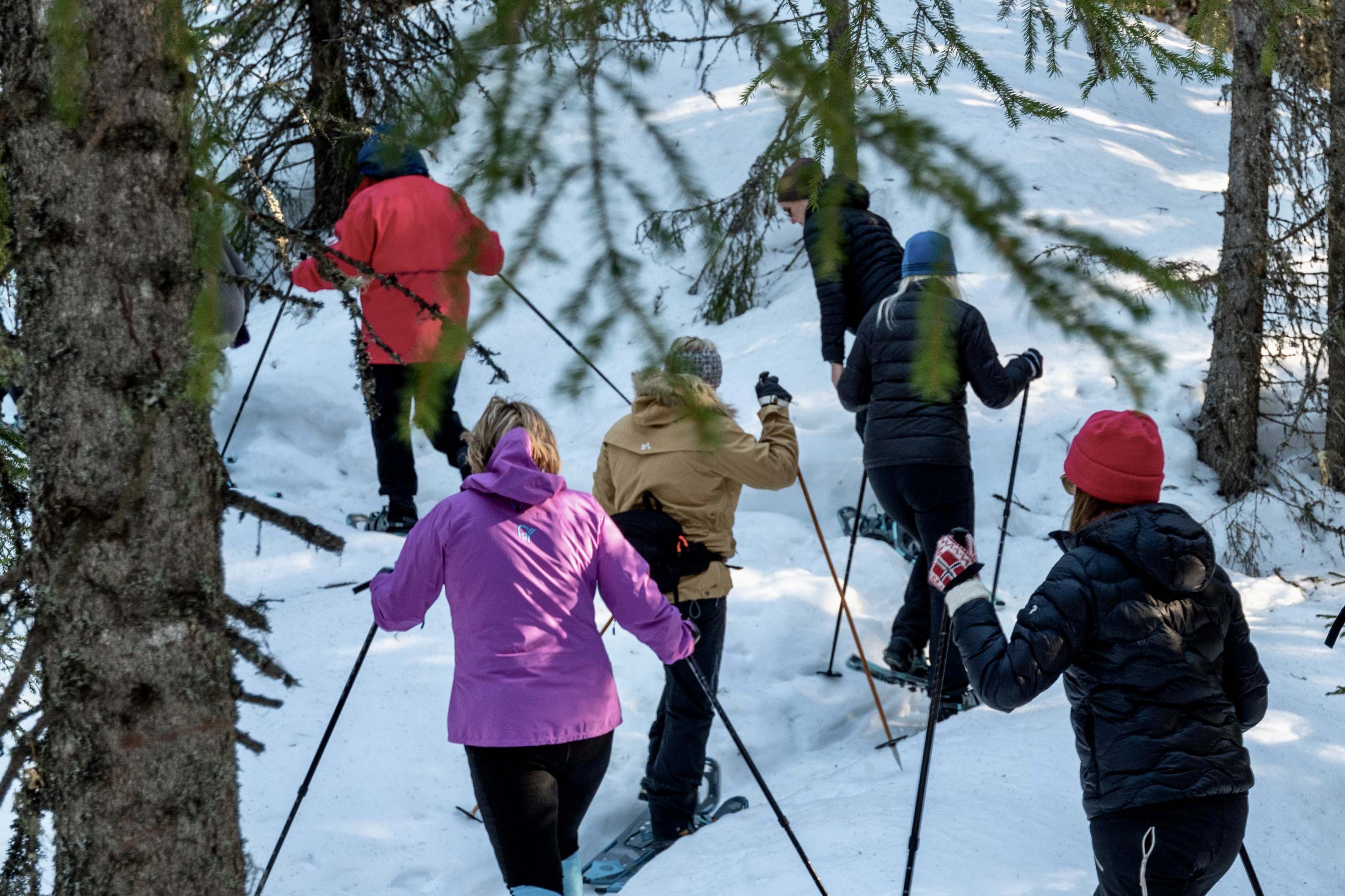 Kursdeltakere på trugetur i skogen